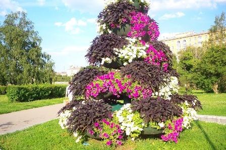 Interesting Design of the Flowerbeds