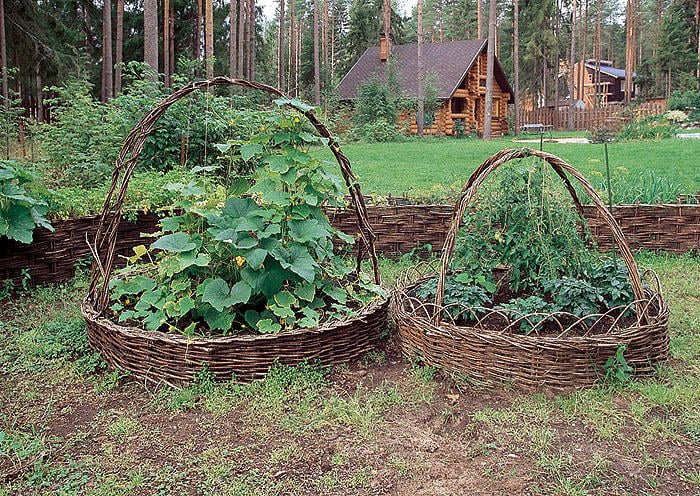Interesting Design of the Garden