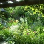 How Not to do a Lot of Work in the Garden.
