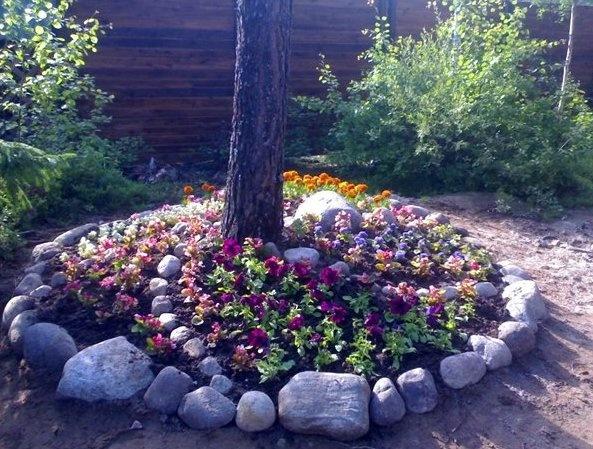 Interesting Design of the Flowerbeds