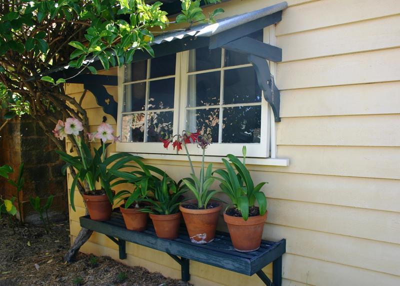 Gardening in Australia - Glenmore House and Garden
