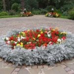 Interesting Design of the Flowerbeds