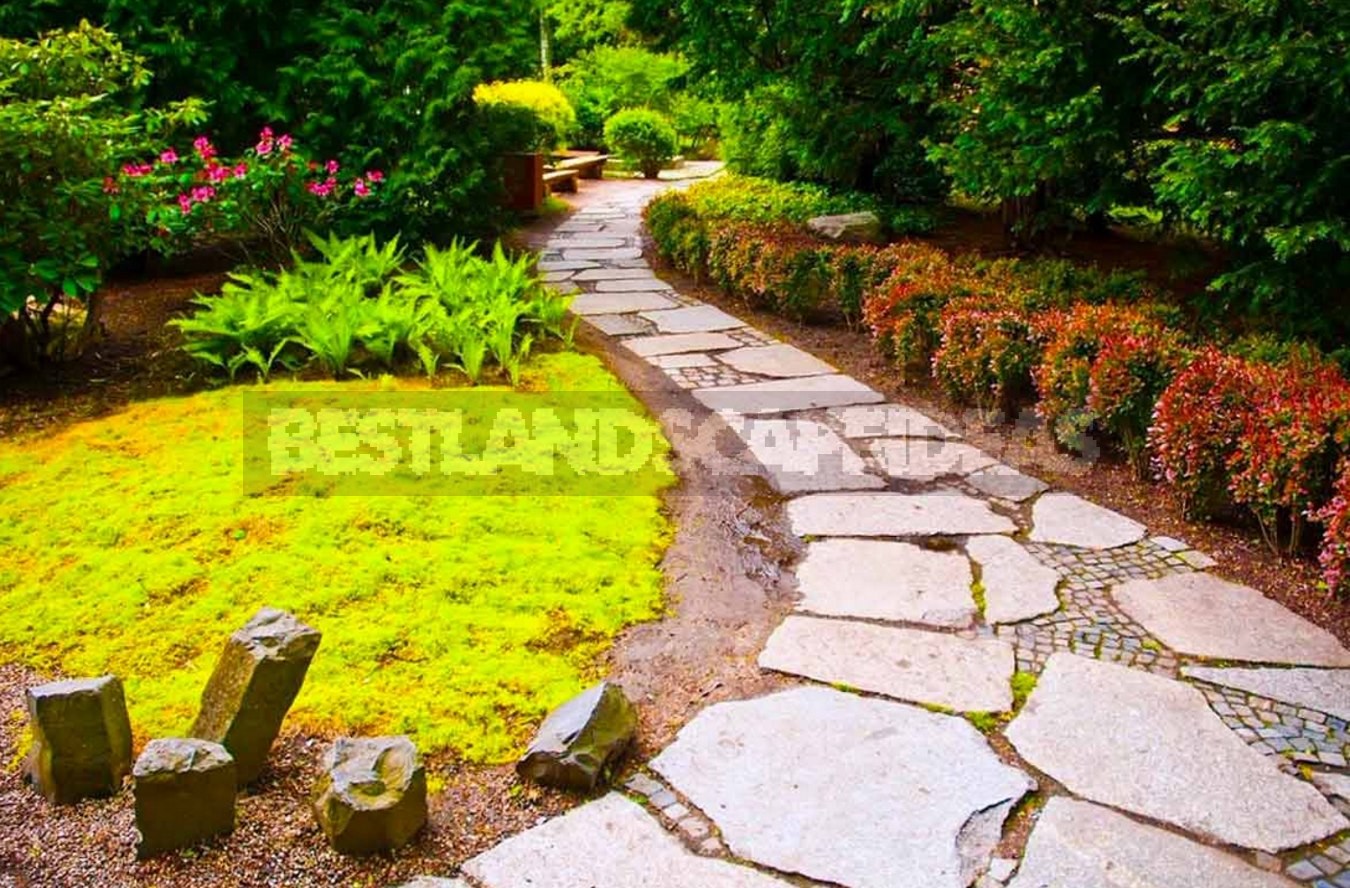 Landscape design: Flower Garden Borders Edging - Best Landscape Ideas