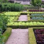 Interesting Design of the Garden