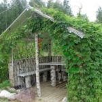 5 Best Gazebo for Country House. Types and Features