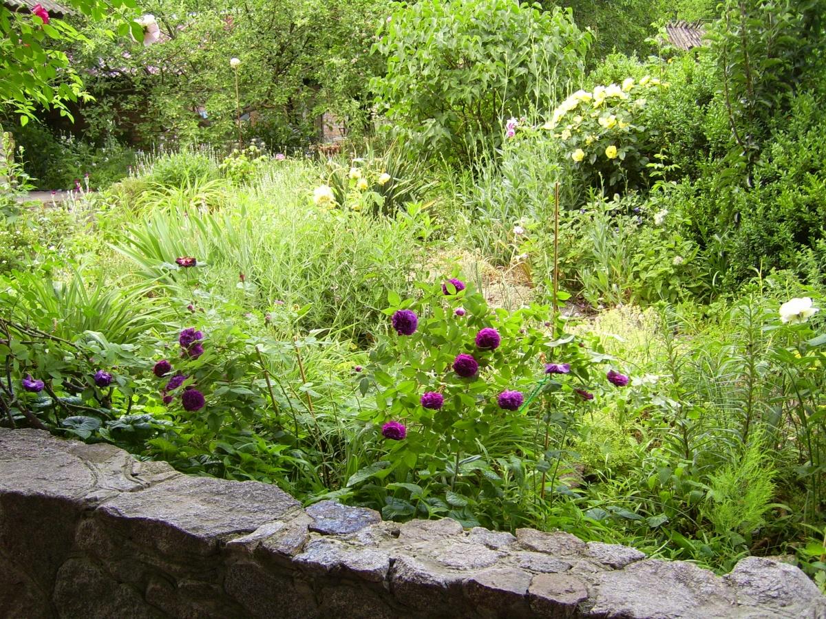 How to build a Vertical Garden on a slope. Best Design Ideas