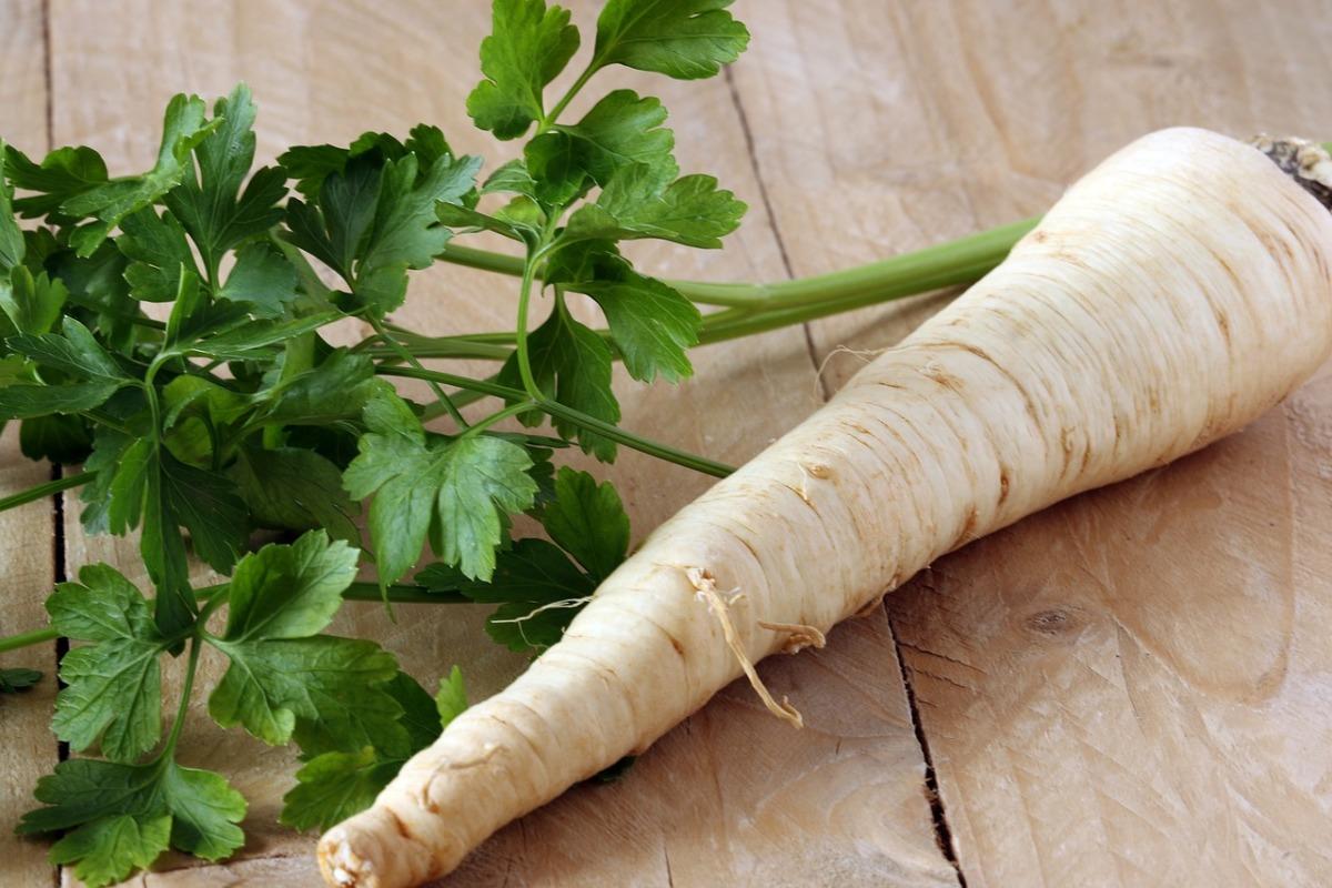 How To Plant And Care For Parsley