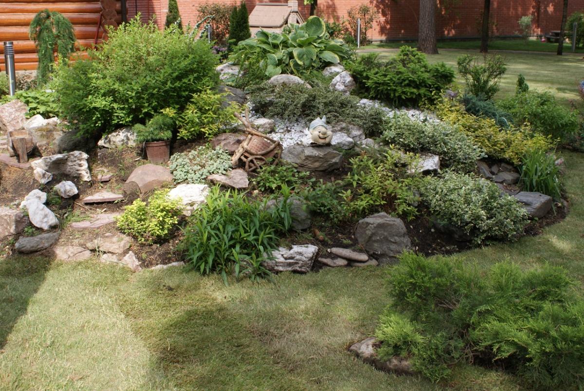 Ideas for Landscaping