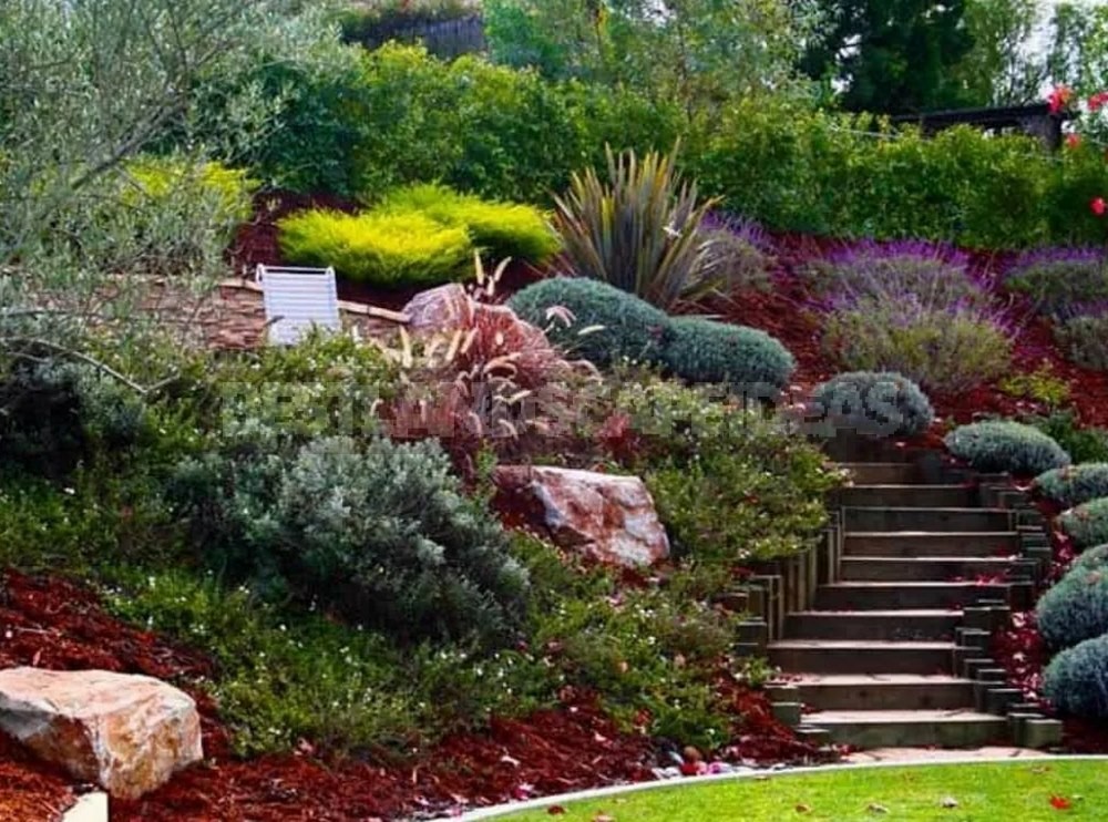 How to build a Vertical Garden on a slope. Best Design Ideas
