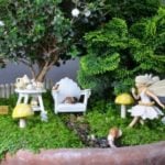 Fairy Garden