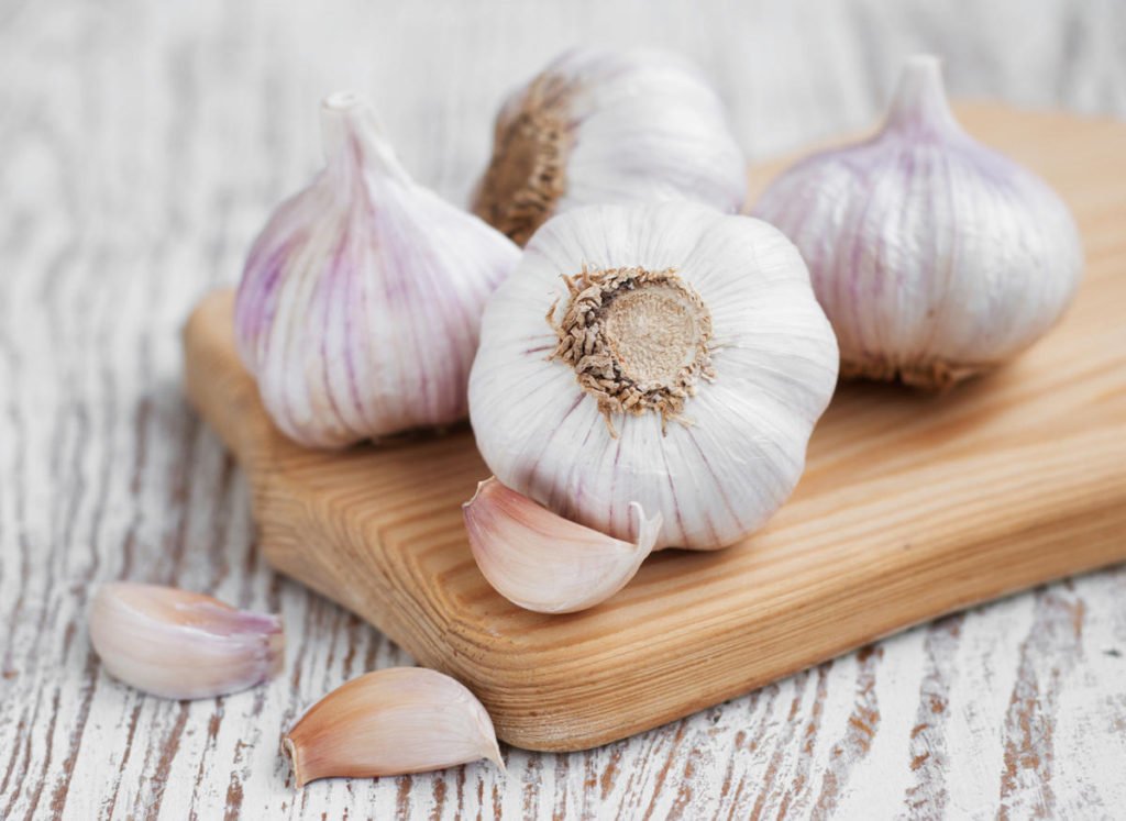 How To Plant And Care For Garlic