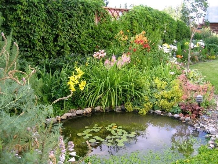 Create the Beauty of Landscape Design with Their Hands