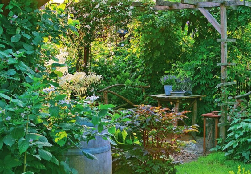 12 Ideas of Garden in the Shade