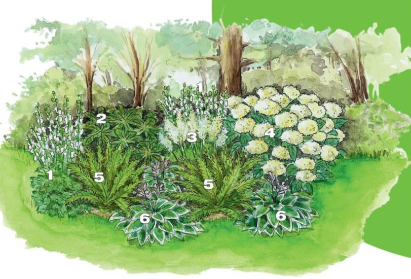 12 Ideas of Garden in the Shade