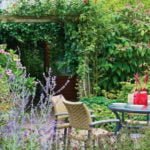 For Every Taste and Aroma: Creating a Garden of Spicy-Aromatic Plants