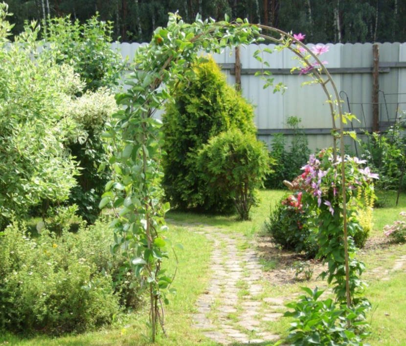 How Can You Solve Your Garden Problems With the Help of Landscape Design