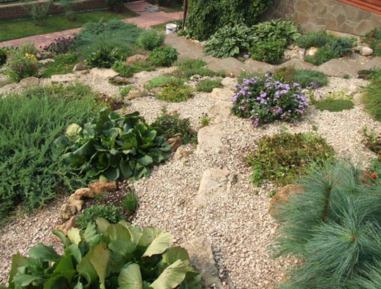 How Can You Solve Your Garden Problems With the Help of Landscape ...