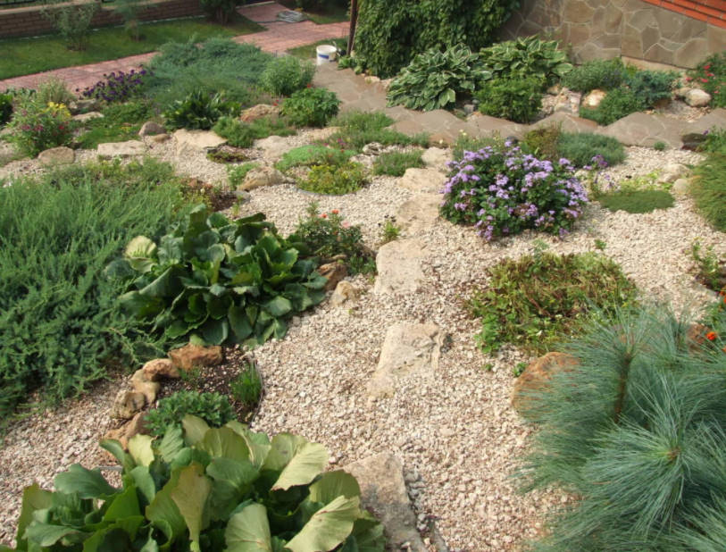 How Can You Solve Your Garden Problems With the Help of Landscape Design