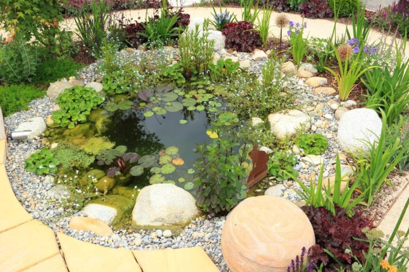 How Can You Solve Your Garden Problems With the Help of Landscape Design