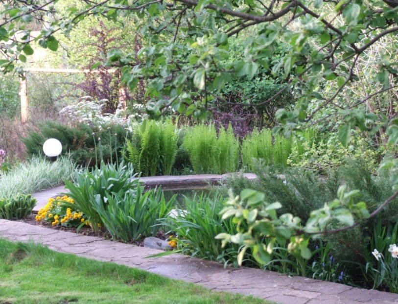 How Can You Solve Your Garden Problems With the Help of Landscape Design