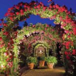 How to Create Your Own Theater of Light and Shadows