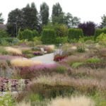 The Gardens of Piet Oudolf: the New Wave of Landscape Design