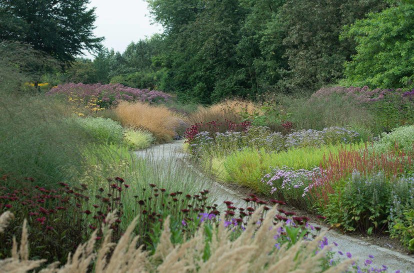 The Gardens of Piet Oudolf: the New Wave of Landscape Design