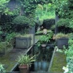 The Mirror in the Garden