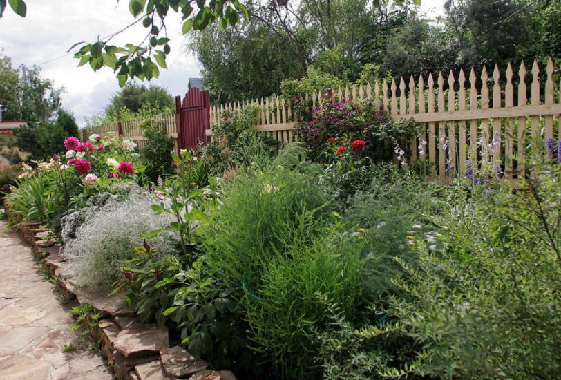 Common Mistakes in Garden Design: Accessories, Mirrors and Planting Rows of Plants