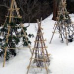 Common Mistakes in Preparing the Garden for Winter. Covering the Plants.