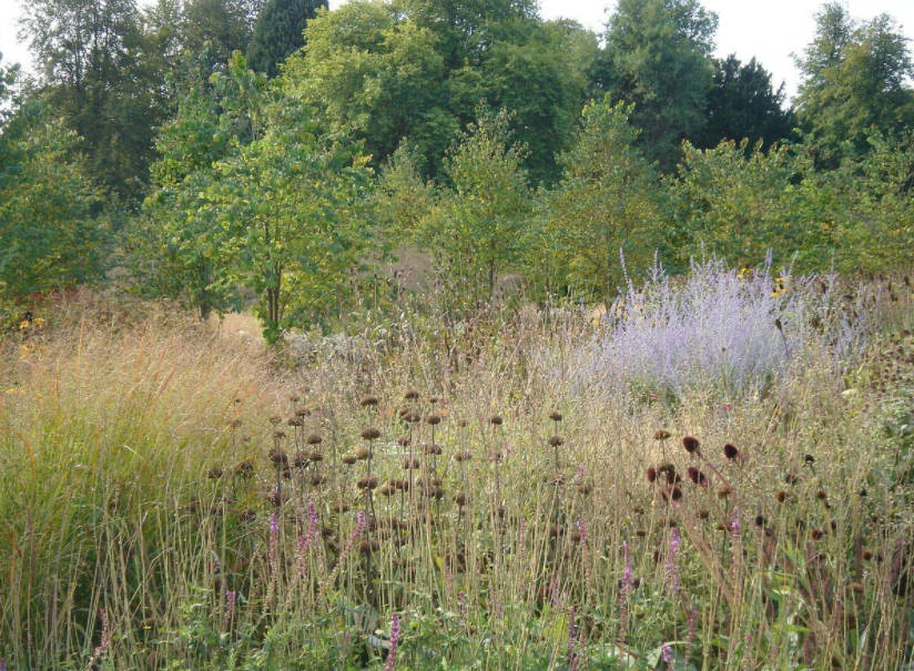 Divide and Plant Non-Botanical Classification of Herbaceous Perennials (part 2)