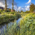 Drainage Systems In the Suburban Area