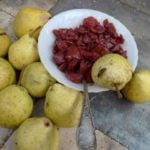 Non-Standard Approach to Pears: Experience of Growing Pears on Rootstocks