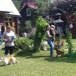 The Most Popular Country Dogs