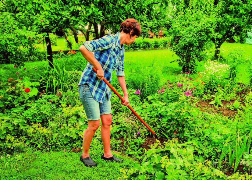 10 Tips for Ecological Gardening