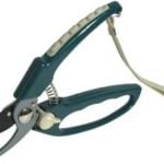 Pruning Shrubs