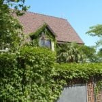 House With Grapes
