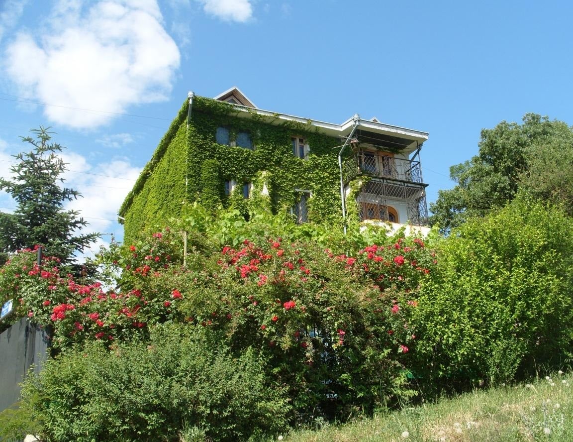 House With Grapes