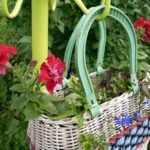 Bright Palette of Petunias