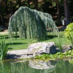 A Little Theory: the Basic Principles of Plant Composition