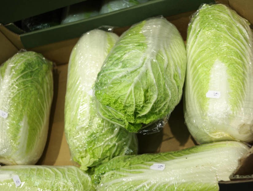 Peking Cabbage: Features of Agricultural Technology