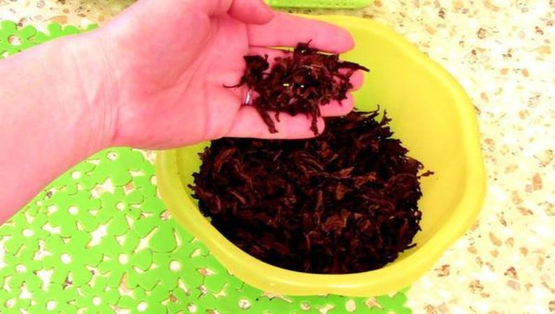 Использованная чайная заварка. Удобрение из чайной заварки.. Заварки чая в качестве удобрения. Опрыскивание овощей чайной заваркой. Чай для цветов как удобрение.