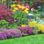 Fleeting Creation: Annuals in Mixborders