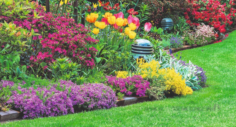 Fleeting Creation: Annuals in Mixborders - Best Landscape Ideas