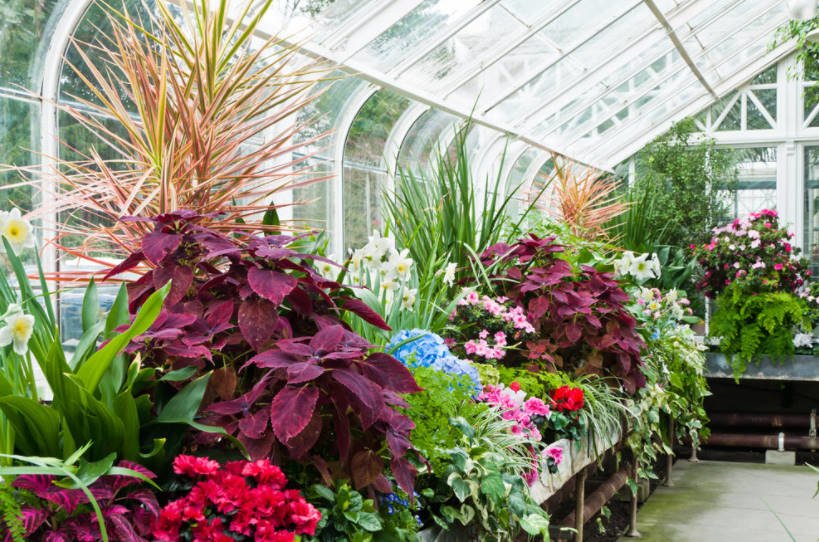 How to Build a Winter Garden in the Country