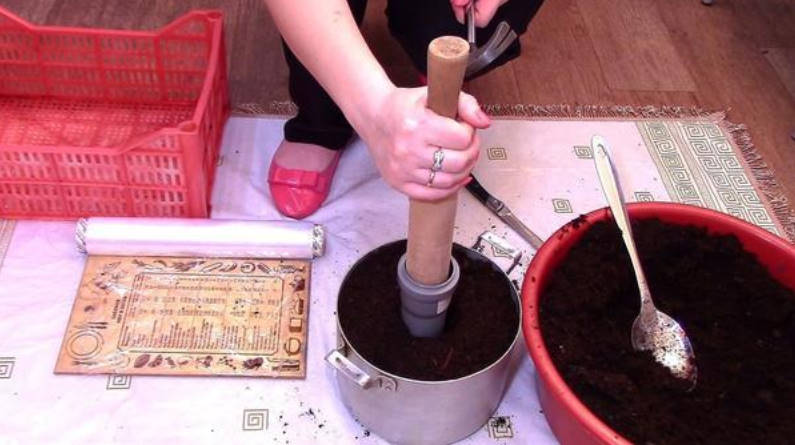 How to Make Peat Tablets at Home