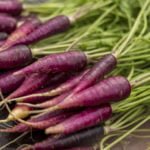 Meet Purple Carrots