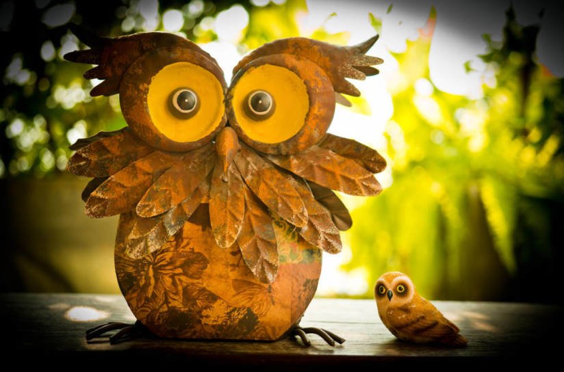 Owl-a Symbolic and Original Gift