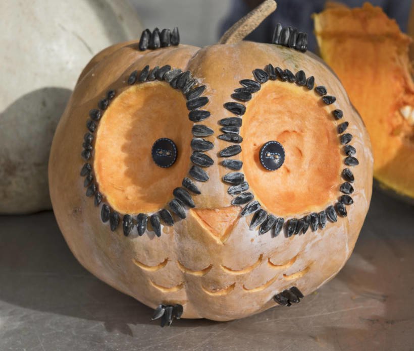 Owl-a Symbolic and Original Gift