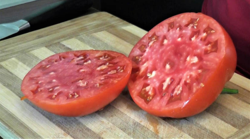 Proven Varieties of Tomatoes: Practical Large-Fruited